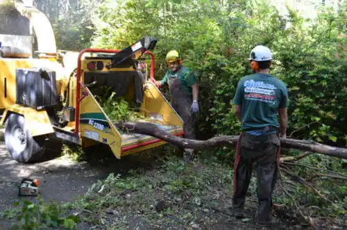 tree services Sonoita